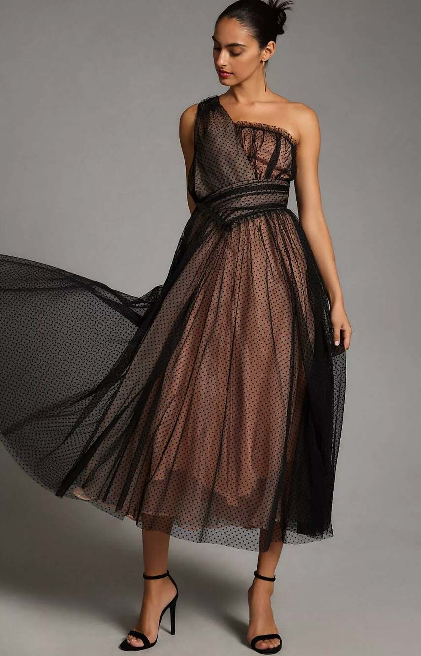 Anthropologie Tulle Dot Maxi Dress 2